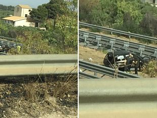 campobello/auto-si-ribalta-sulla-29-paura-per-una-donna