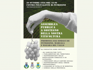 vi-sindaci-di-petrosino-marsala-e-mazara-uniti-regione-risorse-straordinarie-o-la-viticoltura-muore
