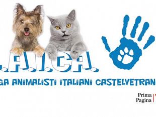 volontari-di-laica-e-lida-insieme-per-i-cani-randagi