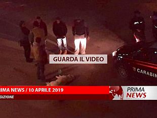 prima-news-10-aprile-seconda-edizione