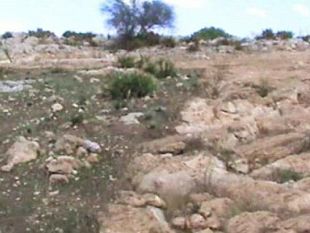 residenti-di-borgata-costiera-contro-la-fattoria-eolica-nei-pressi-del-sito-archeologico-di-roccazzo-dove-sono-i-politici-e-gli-ambientalisti