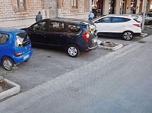 gli-alberi-della-discordia-peppe-la-porta-accusa-francesca-trapani-di-essere-inadeguata