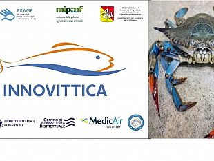 progetto-innovittica-come-trasformare-il-granchio-blu-da-criticita-in-risorsa-e-valore