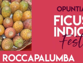 enogastronomia-a-roccapalumba-la-sagra-del-ficodindia