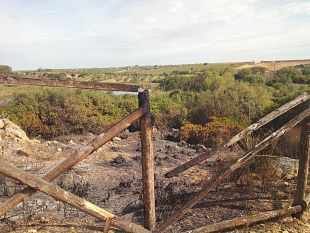 mazara-in-fiamme-300-mq-della-riserva-lago-preola-e-gorghi-tondi-ipotesi-sulle-cause-dellincendio