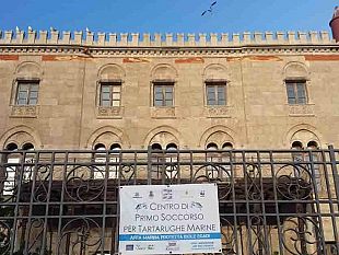 sicily-kid-s-experience-educazione-ambientale-con-l-area-marina-protetta-isole-egadi-il-19-e-20-novembre