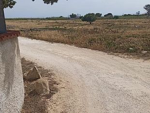 avviso-per-la-locazione-di-un-terreno-confiscato-alla-mafia-a-tre-fontane