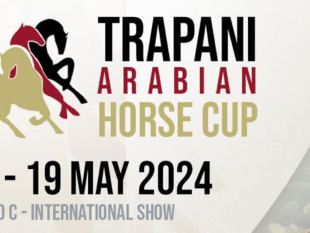 trapani-arabian-horse-cup-2024-leleganza-dei-cavalli-arabi