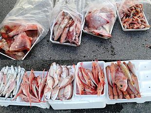 mazara-vendita-abusiva-in-piazzetta-scalo-la-pm-sequestra-e-distrugge-180-kg-di-pesce