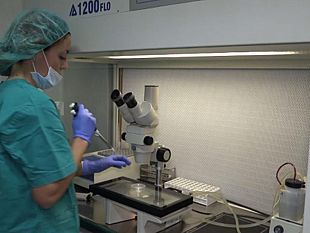 clinica-terzomillennio-eccellenza-nel-campo-della-ginecologia-e-medicina-della-riproduzione