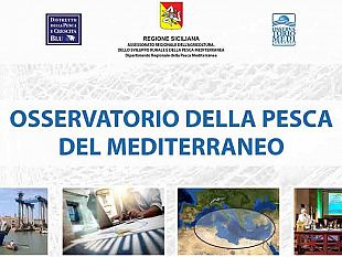 mazara-al-civic-center-la-riunione-dell-osservatorio-della-pesca-del-mediterraneo