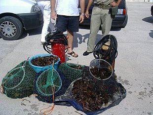mazara-capo-feto-pesca-abusiva-del-riccio-di-mare-scattano-sanzioni-e-sequestri