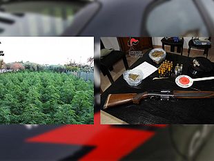 marsala-scoperta-nuova-piantagione-di-marijuana-un-marsalese-in-manette
