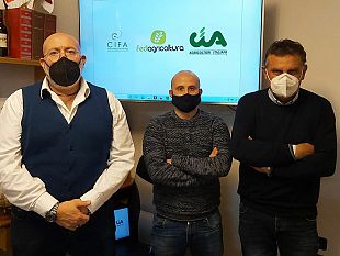 protocollo-dintesa-fra-cifa-fedagricoltura-e-cia-nel-campo-della-formazione