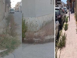 mazara-residenti-del-trasmazaro-chiedono-discerbatura-delle-strade-e-adeguata-disinfestazione