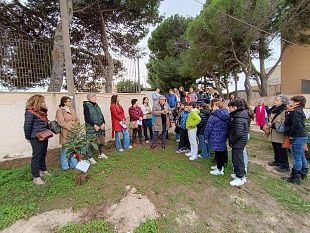 giornata-contro-la-violenza-sulle-donne-inaugurato-a-favignana-il-giardino-delle-giuste-e-dei-giusti