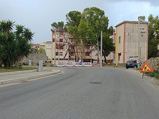 albero-pericolante-via-sapegno-interdetta-e-i-commercianti-protestano