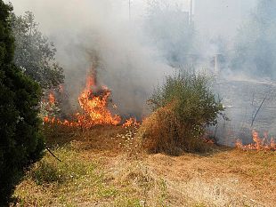 petrosino-emanata-ordinanza-per-la-prevenzione-dagli-incendi-boschivi