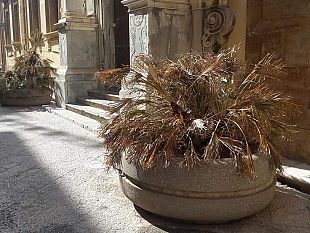 mollica-db-consiglio-comunale-di-trapani-in-grosse-difficolta-e-i-nodi-stanno-venendo-al-pettine
