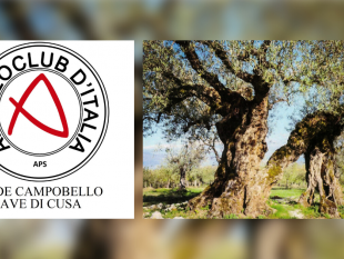 campobello-sagra-dellolio-e-delloliva-non-e-mai-troppo-tardi