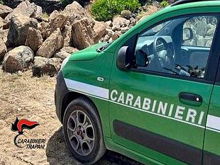 mazara/san-vito-lo-capo-cavalli-sotto-il-sole-e-con-poca-acqua-denunciato-il-proprietario