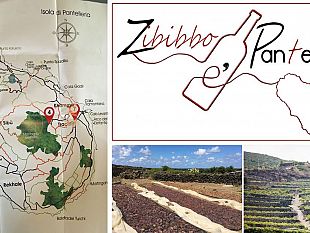pantelleria-e-zibibbo-dibattito-pubblico-5-e-7-maggio-2023