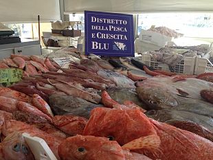 il-distretto-della-pesca-al-seafood-expo-2016-di-bruxelles