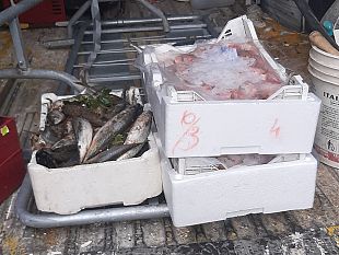 mazara-dopo-nostra-segnalazione-sequestro-di-pesce-abusivo-in-piazzetta-dello-scalo-servono-interventi-quotidiani-per-sradicare-la-pratica-illegale