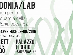 favignana-medonia-lab-il-design-per-la-salvaguardia-della-posidonia-oceanica-il-16-settembre