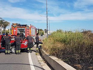 video-mazara-incendio-presso-la-colmata-b-2-ettari-in-fiamme-natura-dolosa