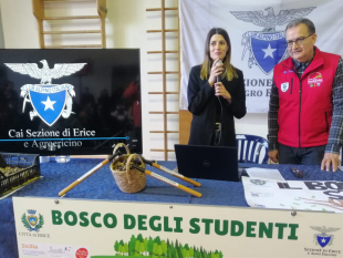ambiente-e-boschi-ciminnisi-parta-per-tempo-la-campagna-antincendi-boschivi