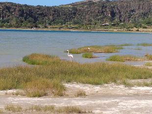 pantelleria-aperta-la-gara-per-il-progetto-di-conservazione-del-lago-bagno-dellacqua-specchio-di-venere