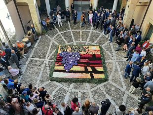 marsala-museo-del-vino-i-giorni-e-gli-orari-di-apertura-e-le-tariffe-dingresso