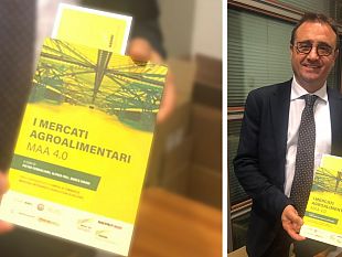 mercato-ittico-40-lesperienza-di-un-mercato-ittico-allavanguardia-a-trapani
