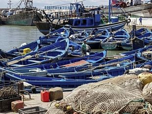 aiuti-regionali-per-la-pesca-in-sicilia-480-mila-euro-a-sostegno-di-alici-e-sardine