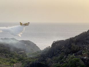 mazara/incendio-a-pantelleria-nota-dellente-parco-nazionale-dellisola