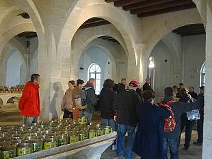 nuovo-arrivo-di-crocieristi-oggi-a-favignana