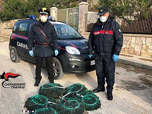 trapani-sanzionati-due-uomini-trovati-con-oltre-300-ricci-di-mare-in-macchina