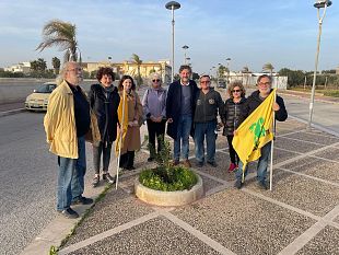 petrosino-rinasce-il-verde-in-viale-giacomo-licari-piantati-alberelli-di-corbezzolo