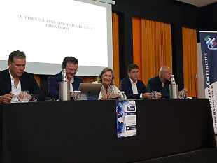 la-pesca-in-sicilia-un-comparto-che-vale-221-mln-di-euro