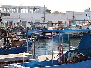 trapani/gal-pesca-trapanese-al-via-i-workshop-di-animazione-territoriale