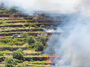 pantelleria-riunione-post-incendio-parco-e-comune-elogi-intervento-ma-servono-rinforzi