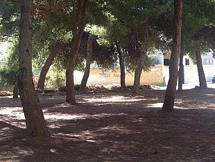 mazara-un-area-attrezzata-nella-pineta-di-via-elio-vittorini