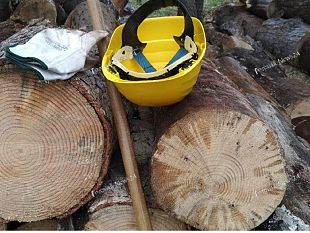 e-passato-un-altro-anno-per-gli-operai-forestali-e-forse-qualcuno-non-se-ne-accorto