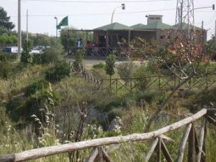 mazara-incarico-professionale-per-manutenzione-straordinaria-parco-miragliano