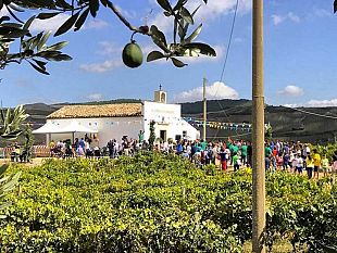 a-vita-la-festa-in-onore-dei-santi-cosma-e-damiano-martiri