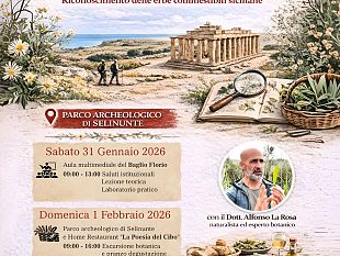 a-selinunte-un-corso-per-il-riconoscimento-delle-erbe-commestibili