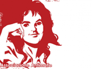 operazione-artemisa-interviene-il-presidio-dellassociazione-antimafie-rita-atria
