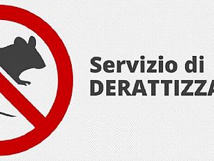 gibellina-trappole-per-topi-sparse-per-la-citta-lamministrazione-avvia-la-deratizzazione