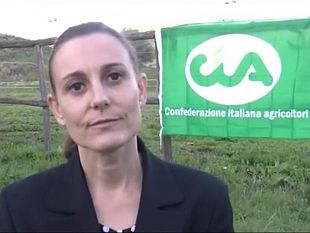 cia-avvicendamento-colturale-grano-duro-biologico-via-libera-alla-deroga-che-consente-la-semina-ad-anni-alterni